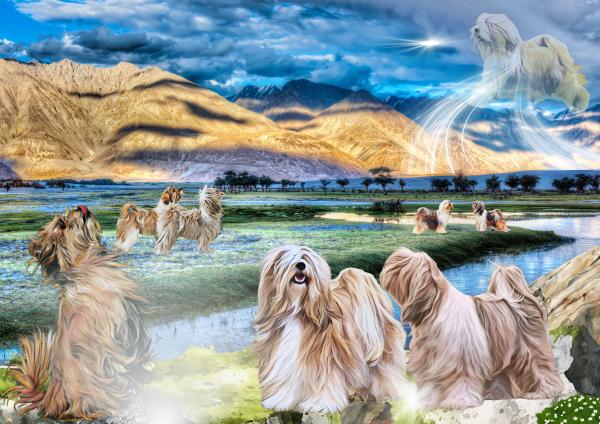 Children of the Wind